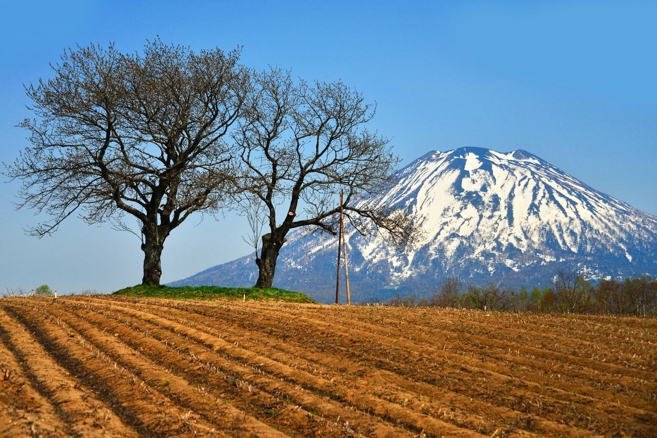 Hotel Niseko Alpen Kucsan Kültér fotó